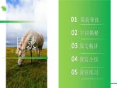 部编版五年级语文下册《牧场之国》PPT优秀课件 (5)