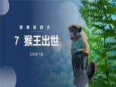 部编版五年级语文下册《猴王出世》PPT教学课件 (3)