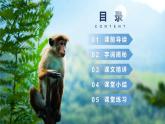 部编版五年级语文下册《猴王出世》PPT教学课件 (3)