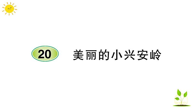 20 美丽的小兴安岭  学案课件（课前预习+课业设计）01