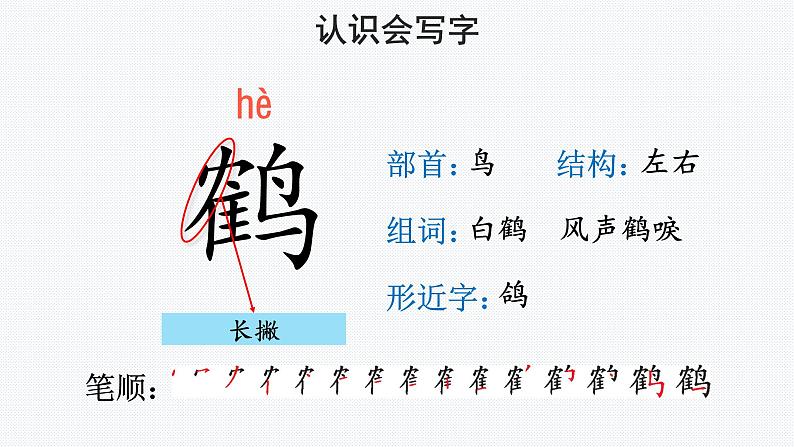 【教学课件】白鹭第1课时示范课件第7页