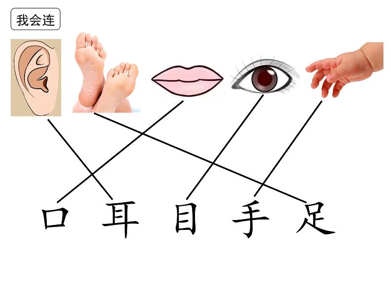 部编教材一年级上册《口耳目》课件PPT第5页