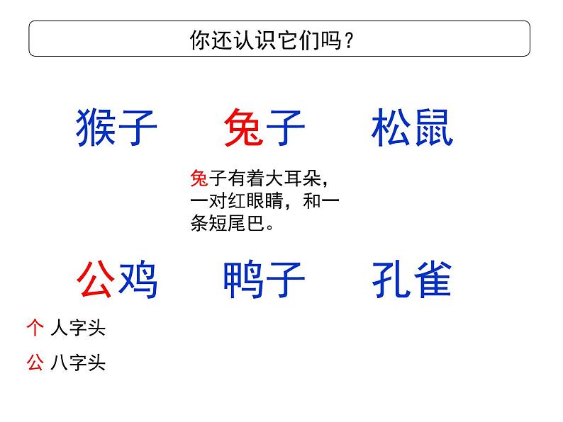 部编教材一年级上册《比尾巴》课件PPT第7页