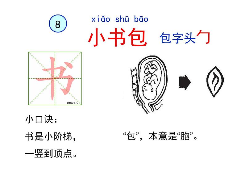 部编教材一年级上册识字8《小书包》课件PPT第3页