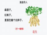 【教学课件】落花生第1课时示范课件