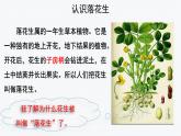 【教学课件】落花生第1课时示范课件
