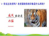部编版四上语文课件19 一只窝囊的大老虎