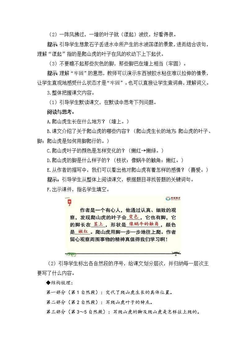 部编版四上语文10 爬山虎的脚（教案）03