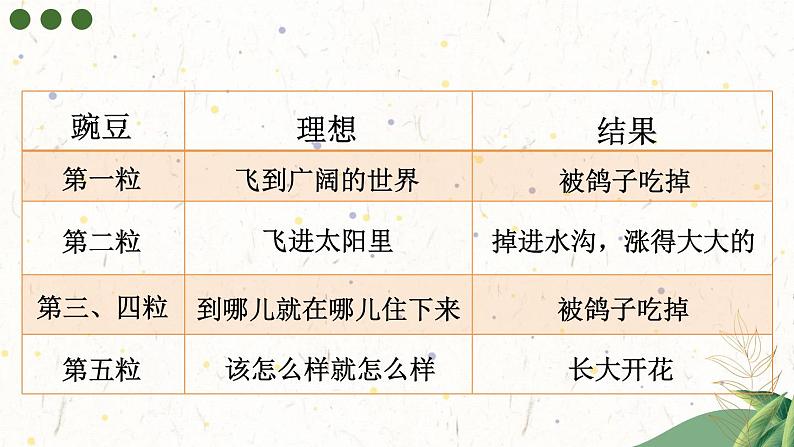 部编版四上语文 5 一个豆荚里的五粒豆  课件（36张PPT）第8页