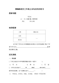 小学语文人教部编版三年级上册24 司马光习题