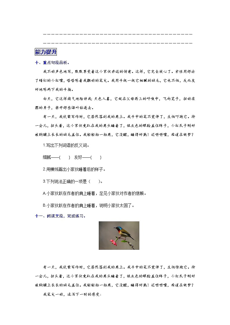 第4课 珍珠鸟（学生版）第3页