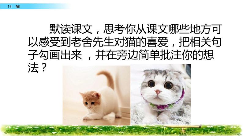 部编版四年级下册《猫》PPT课件PPT第4页