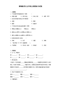 小学语文人教部编版五年级上册17 松鼠课时作业