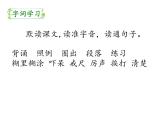 部编版小学语文三年级3不懂就要问课件（共17张PPT)