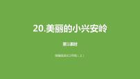 小学语文人教部编版三年级上册20 美丽的小兴安岭评课课件ppt