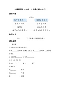 小学语文10 大还是小一课一练