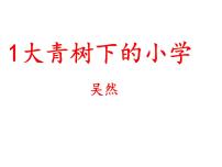 小学语文人教部编版三年级上册1 大青树下的小学图文ppt课件