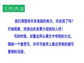 统编小学语文三年级上册《2这儿真美》课件
