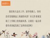 人教部編版（五四制）三年級(jí)上冊(cè)語(yǔ)文 第二單元《鋪滿金色巴掌的水泥道》課件