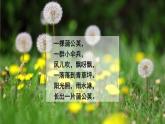 人教部編版（五四制）三年級(jí)上冊(cè)語(yǔ)文 第五單元《金色的草地》課件