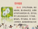 人教部編版（五四制）三年級(jí)上冊(cè)語(yǔ)文 第五單元《金色的草地》課件