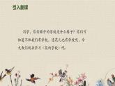 人教部編版（五四制）三年級(jí)上冊(cè)語(yǔ)文 第一單元《花的學(xué)校》課件