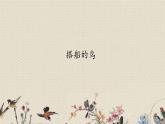 人教部編版（五四制）三年級(jí)上冊(cè)語(yǔ)文 第五單元《搭船的鳥》課件