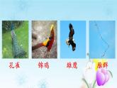 2021秋新人教版小学二年级语文上册识字3拍手歌品读释疑课件