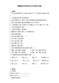 小学语文人教部编版四年级上册2 走月亮精练