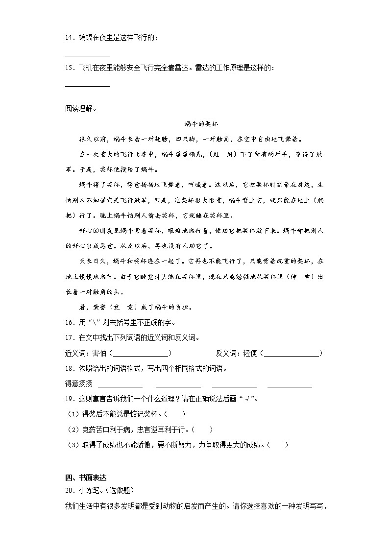 部编版语文四年级上夜间飞行的秘密练习试题03