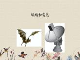 人教部編版（五四制）四年級(jí)上冊(cè)語(yǔ)文 第二單元《蝙蝠和雷達(dá)》課件ppt