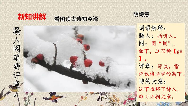 人教部编版（五四制）四年级上册语文 第三单元古诗三首《雪梅》课件ppt08