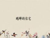 人教部編版（五四制）四年級上冊語文 第三單元《蟋蟀的住宅》課件ppt