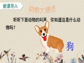 人教部編版（五四制）四年級上冊語文 第三單元《蟋蟀的住宅》課件ppt
