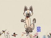 人教部編版（五四制）四年級上冊語文 第三單元《蟋蟀的住宅》課件ppt