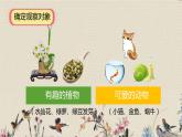 人教部編版（五四制）四年級上冊語文 第三單元《習(xí)作：寫觀察日記》課件