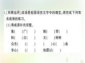 新人教版小升初语文训练专题三词语二四字词语短语词语理解课件