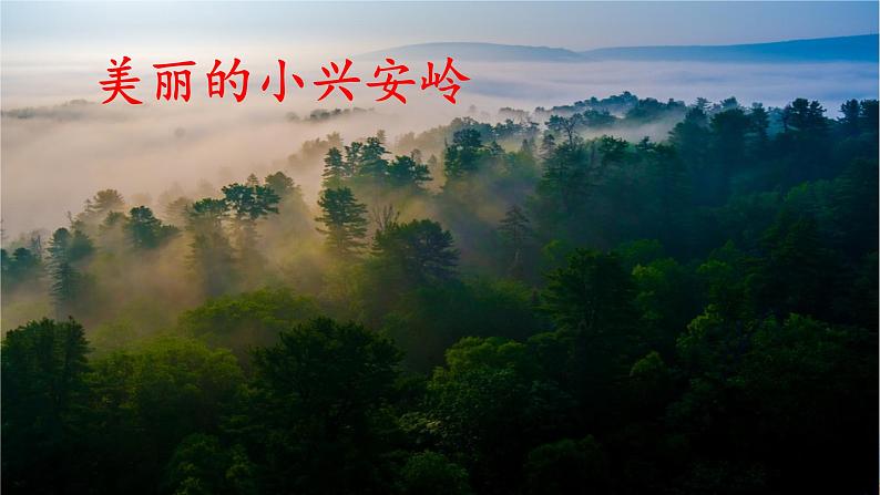 人教部编版三年级语上 20.《美丽的小兴安岭》（课件+教案+达标练习+学案）02