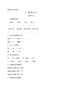 2021学年2 我是什么同步达标检测题