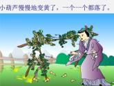 二年级语文上册 14.我要的是葫芦课件 新人教版