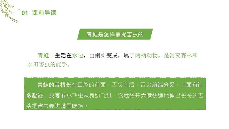 部编版一年级语文下册小青蛙课件PPT第3页