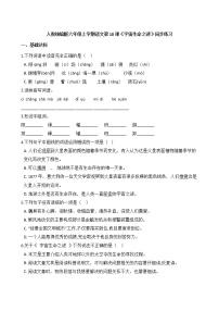 小学语文人教部编版六年级上册11 宇宙生命之谜达标测试