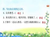 部编三年级上册语文   9、那一定会很好  习题课件（13张幻灯片）