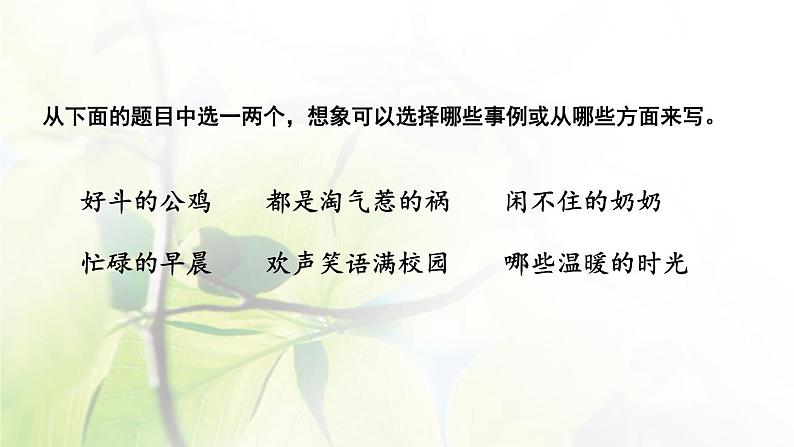 六年级语文上册第五单元口语交际与习作教学课件新人教版第8页