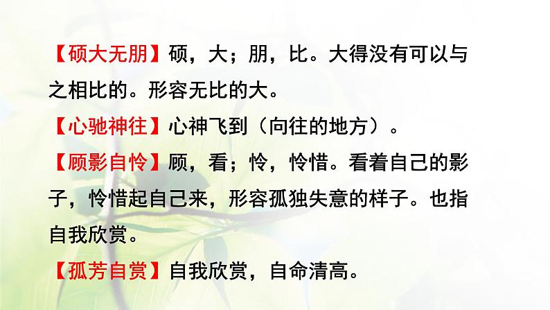 六年级语文上册第一单元4花之歌教学课件新人教版第6页