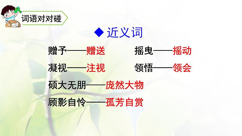 六年级语文上册第一单元4花之歌教学课件新人教版第7页