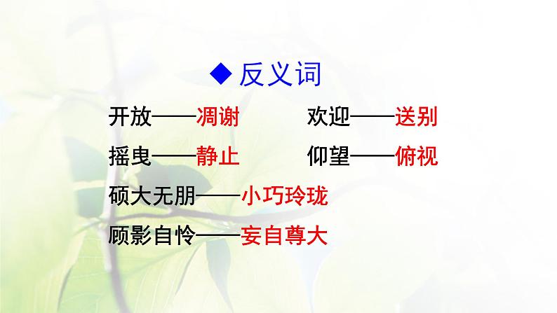 六年级语文上册第一单元4花之歌教学课件新人教版第8页