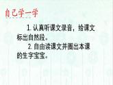 11 項(xiàng)鏈（課件+教案+反思+課時(shí)練+類文閱讀）