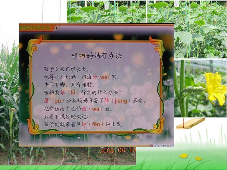 二年级语文上册 3.植物妈妈有办法 课件 新人教版 (4)第3页