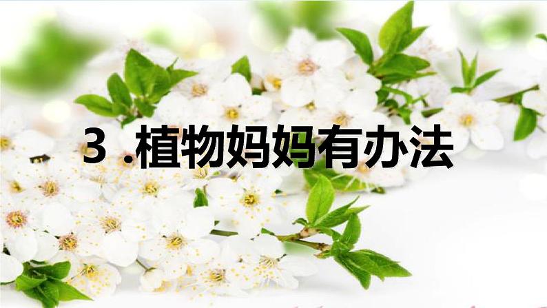 部编人教版二年级语文上册《3 植物妈妈有办法》教学课件PPT优秀公开课课件第1页